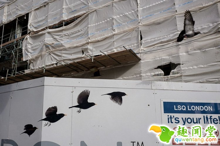 所谓的天时地利人和，说的就是这些照片