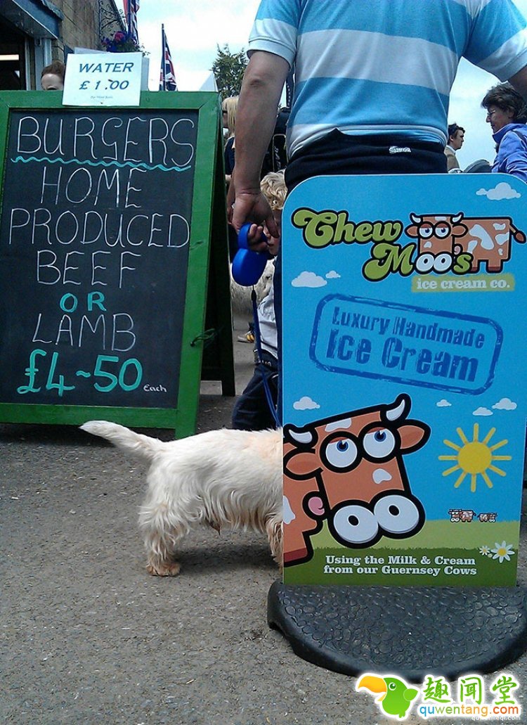 所谓的天时地利人和，说的就是这些照片