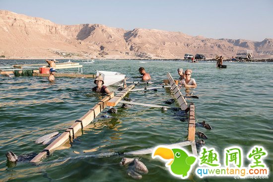 她把一件黑色长袍扔进死海，2年后竟变成这样！