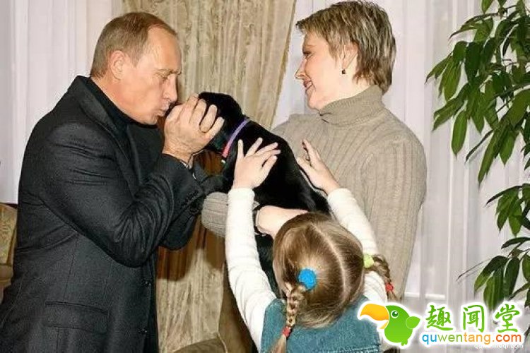 想要养只宠物狗？你只需要给普京写封信