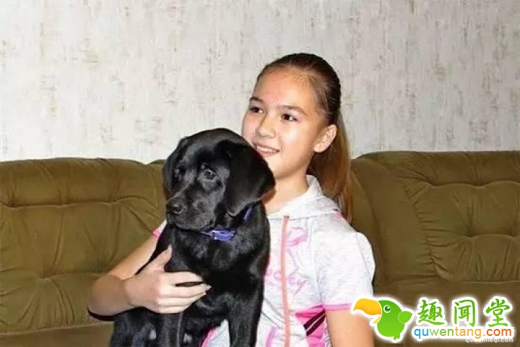 想要养只宠物狗？你只需要给普京写封信