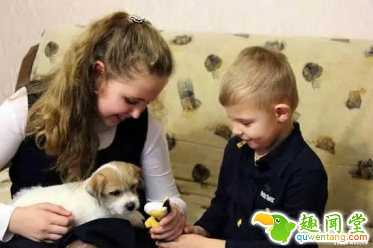 想要养只宠物狗？你只需要给普京写封信