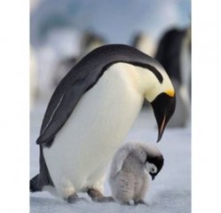 18个你一定要懂得的社会定律！