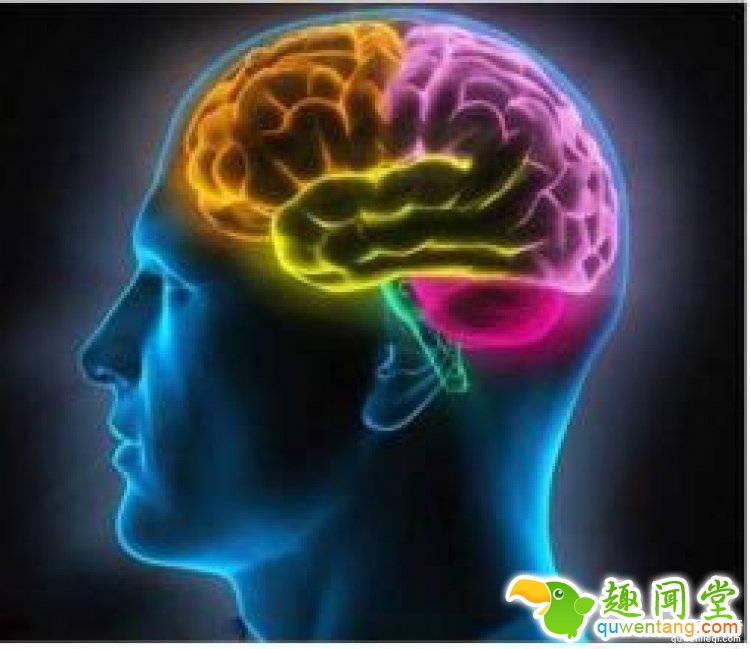 【真相帝】what？女人的大脑在姨妈期居然会变大！