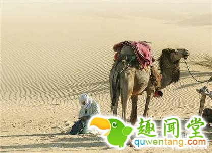 牛津词典又收了8个奇葩词！最恶心的你猜是哪个