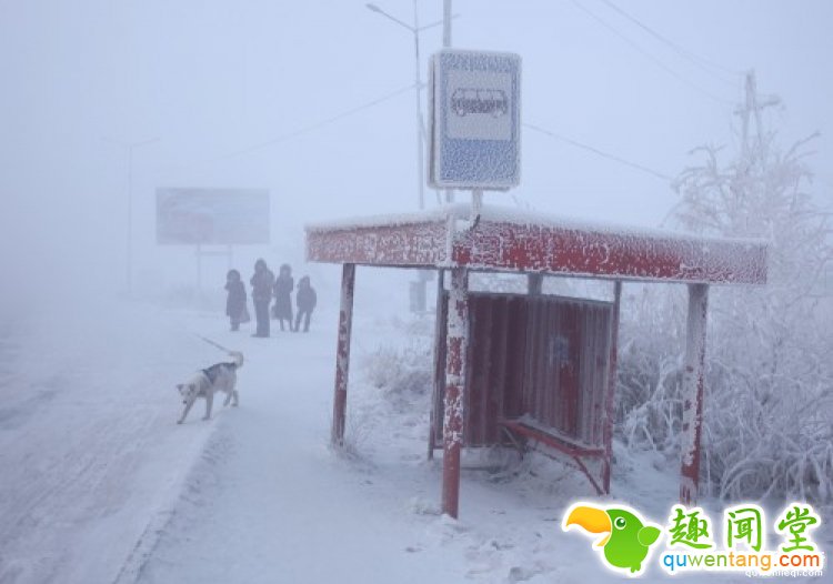 体会下西伯利亚-48℃的一天，都不敢说今年北京冷了