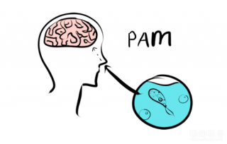 这种吃人脑的虫子，就活在公园的池塘里