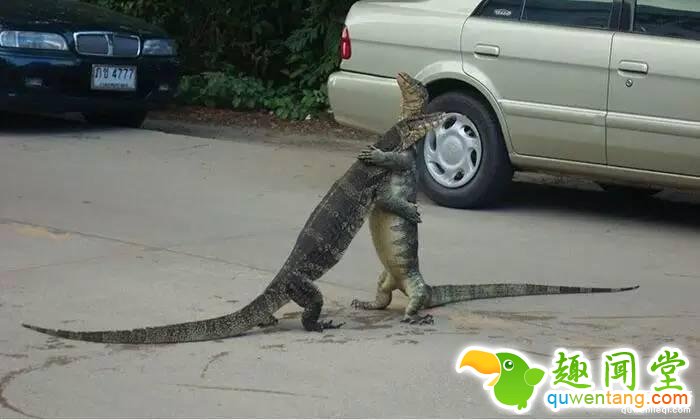 照片神吐槽，看着看着就笑了！