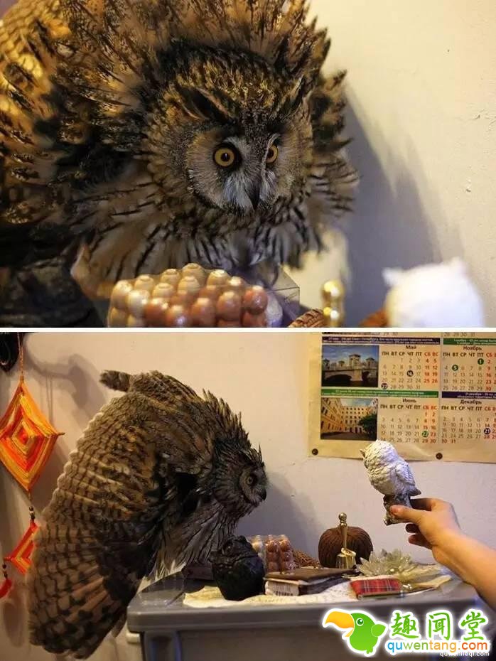 照片神吐槽，看着看着就笑了！