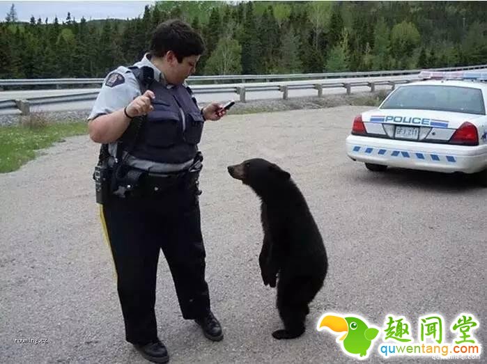 照片神吐槽，看着看着就笑了！
