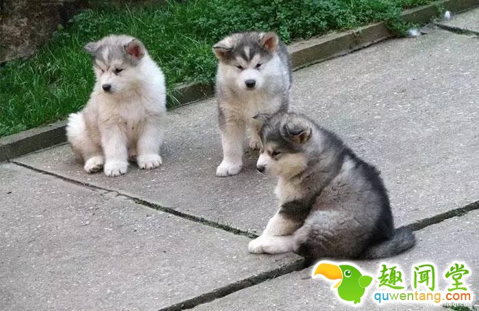 照片神吐槽，看着看着就笑了！