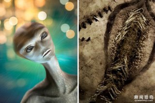 外星人入侵？英国海滩发现大量恐怖异形蛋