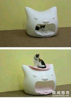 8大奇葩的生活用品，简直太不像话了~