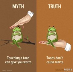 变色龙改变体色不是为了和环境融为一体而