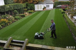 英居民种出全英国最佳草坪，称比女王的草