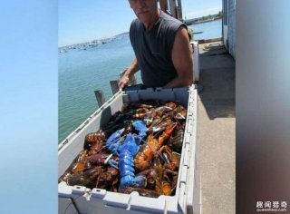 渔民意外捕获超级罕见物种，出现几率只有