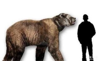 史上最强悍的10大生物  幸好没有活到现在