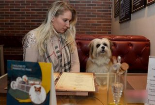 怎么给宠物取名字？澳大利亚人在这方面无