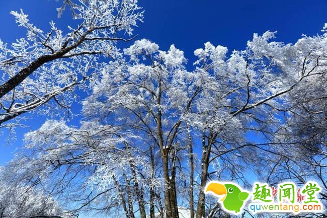 美丽的雾凇奇观令人陶醉。肖洪波 摄