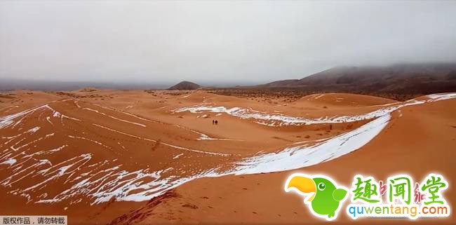 连续第二年！撒哈拉沙漠北部城市再迎降雪(组图)