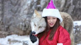 25岁女子在内蒙古草原养狼：曾被咬伤