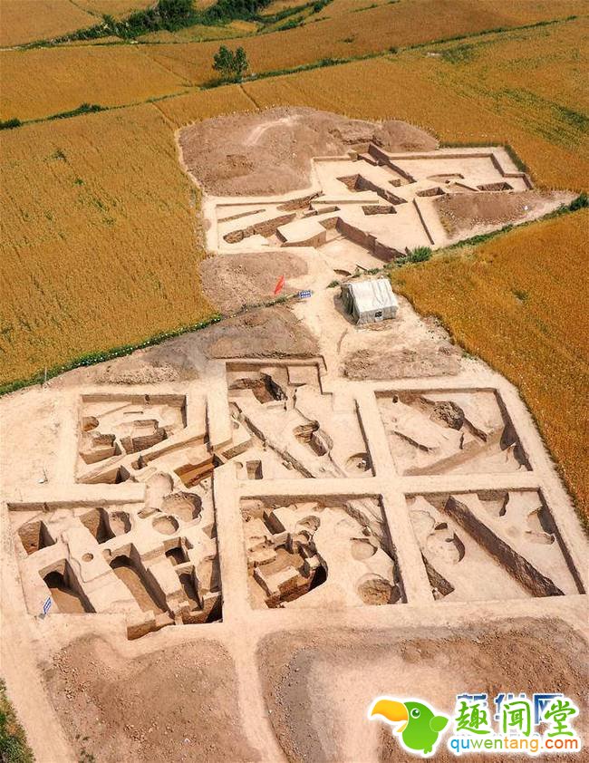 这是出土水稻遗存的陕西省渭南市东阳遗址（无人机拍摄）。史前水稻的栽培和驯化，对中华文明的诞生与人口增长具有至关重要的作用。目前学界对于“水稻栽培起源于长江中下游地区”的结论已基本达成共识，但对于稻作农业向外传播的时间与过程还存在疑问与分歧。日前经过科学手段分析，考古工作者发现出土于陕西省渭南市东阳遗址的水稻遗存，属于距今5800多年的人工栽培品种，为研究水稻种植的起源和传播提供了新的证据。新华社发