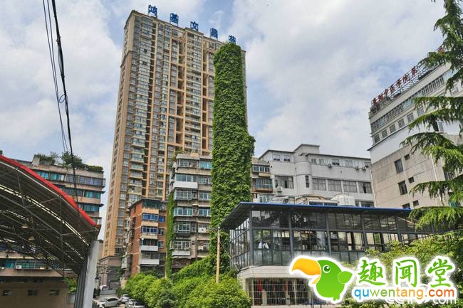 2018年4月12日，贵阳，一棵30余米高废弃烟囱被长势繁茂的爬山虎藤条紧紧包裹缠绕。远远看去，有如身穿巨型“绿裙子”。视觉中国