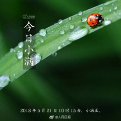 小满，是初恋的象征